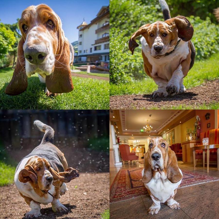 Hotel Magdalena Im Zillertal - Urlaub Mit Hund Ried im Zillertal Exterior foto